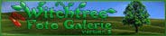 Bilder Galerie